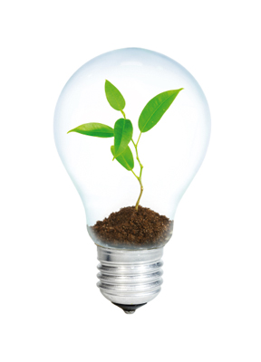 Groei door innovatie en ondernemersschap