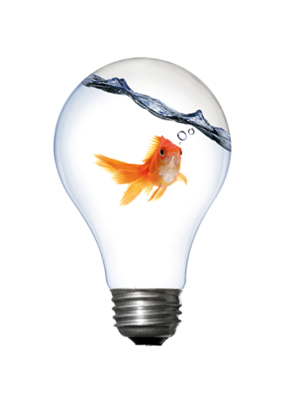 Groei door innovatie en ondernemersschap